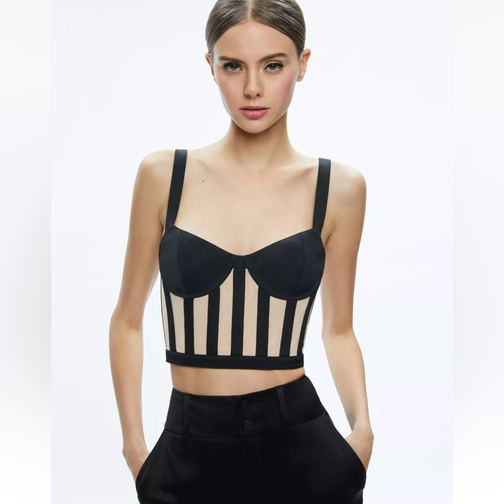 Alice + Olivia Helene Striped Bustier Top in Black/Almond